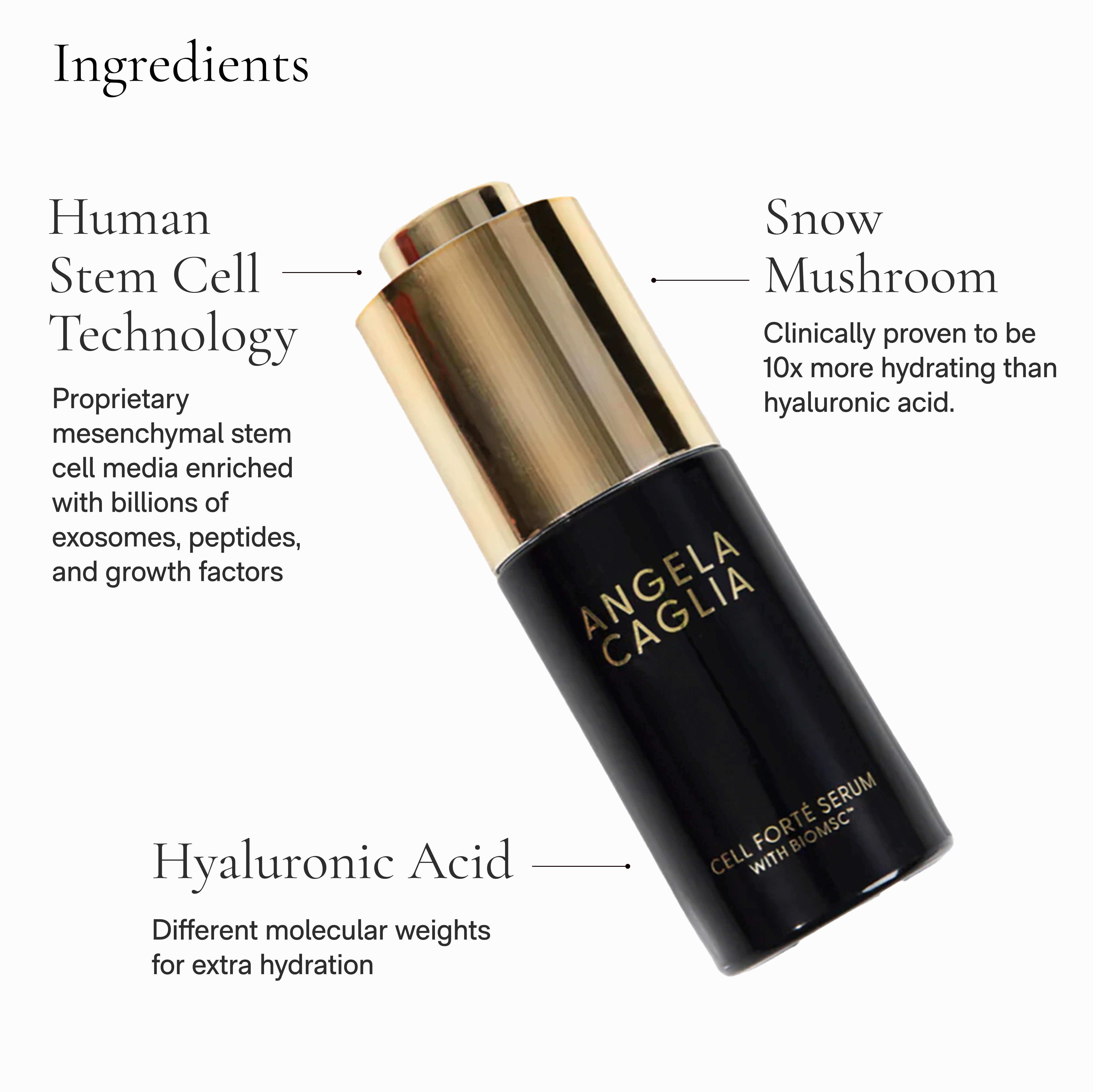 Cell Forté Serum | Human Stem Cell Skincare | Exosomes