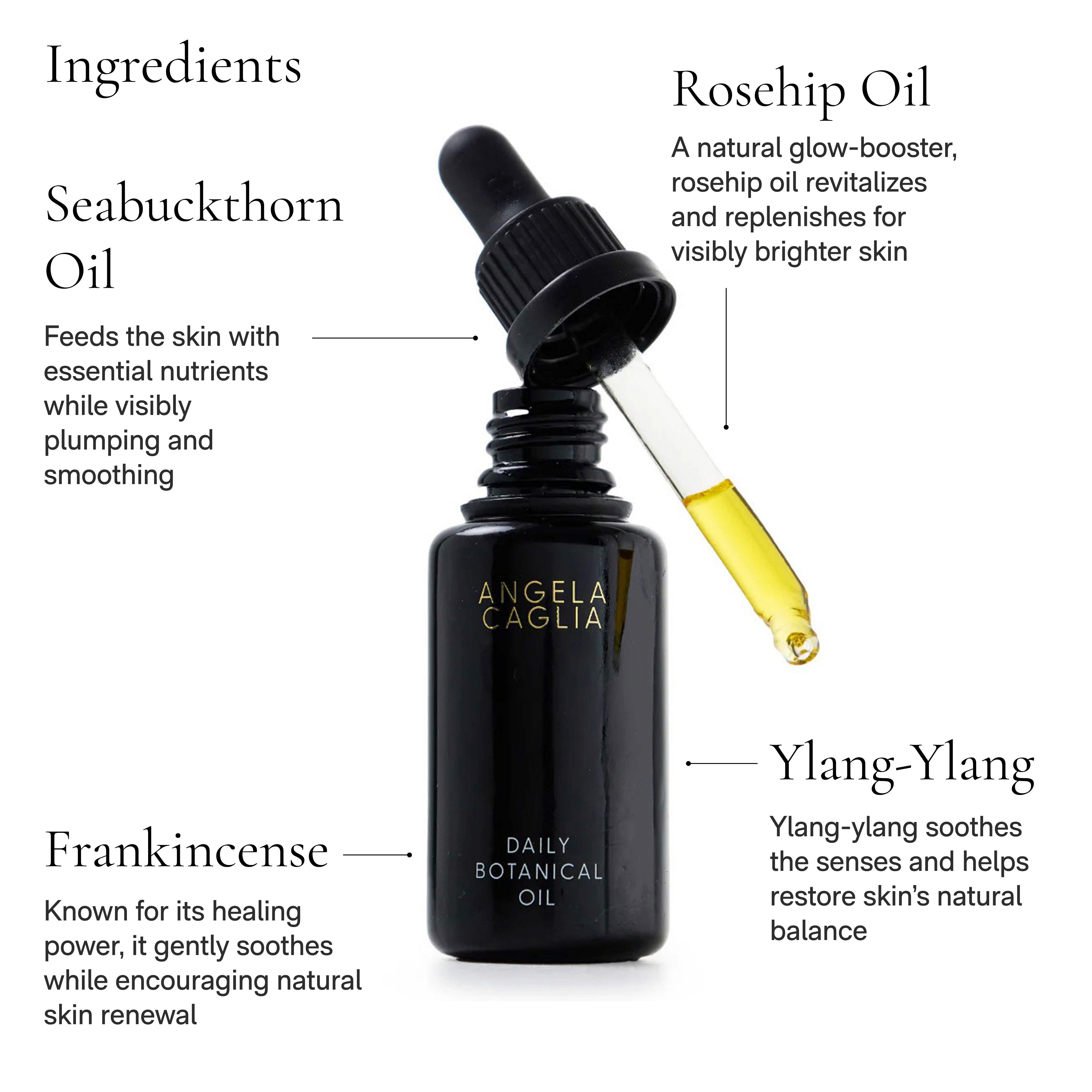 Daily Botanical Oil | W Best Product Launch
