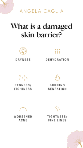 Diagram of skin barrier damage icons